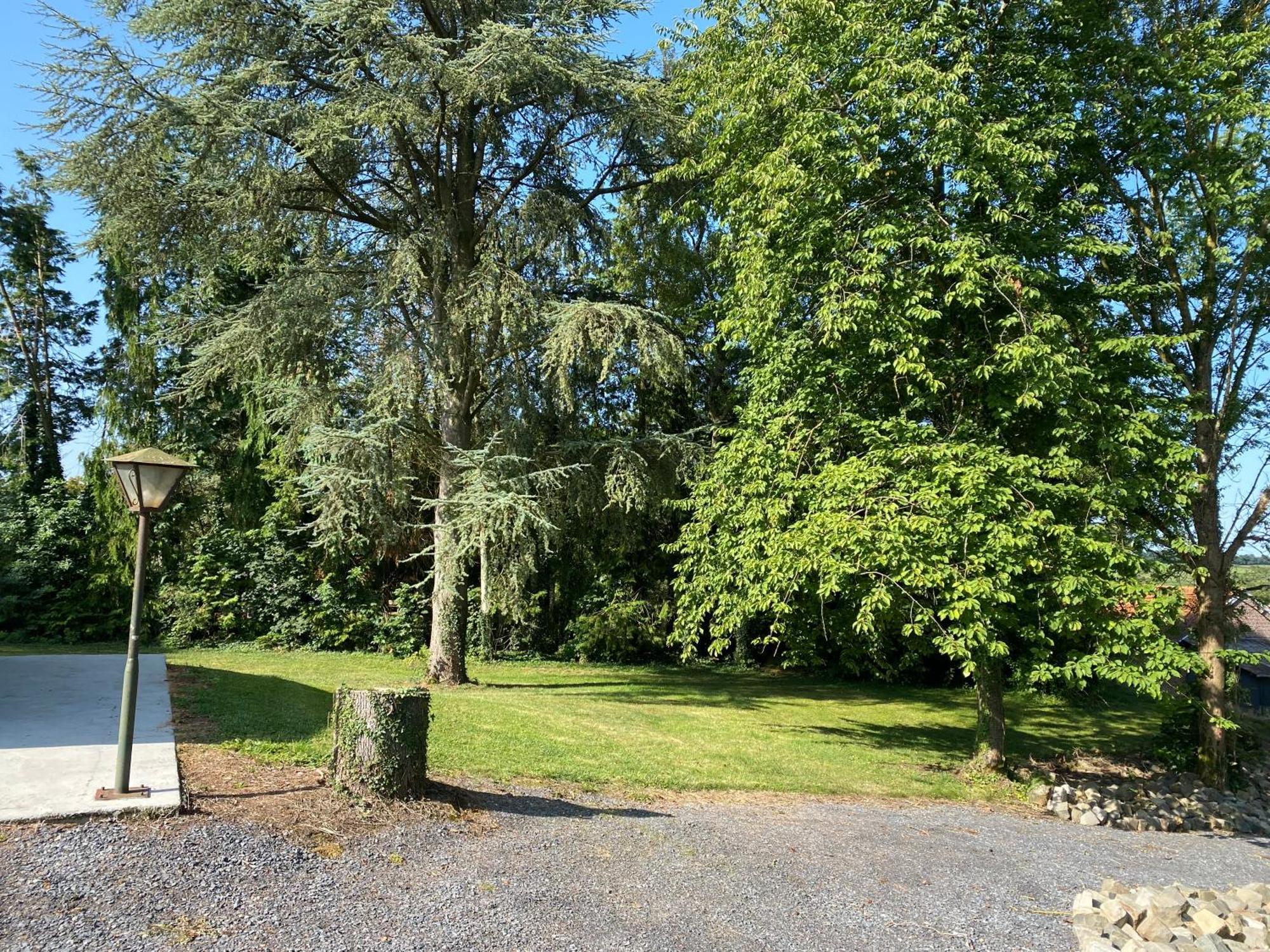 Vila Au Cedre Bleu Carnoy Exteriér fotografie