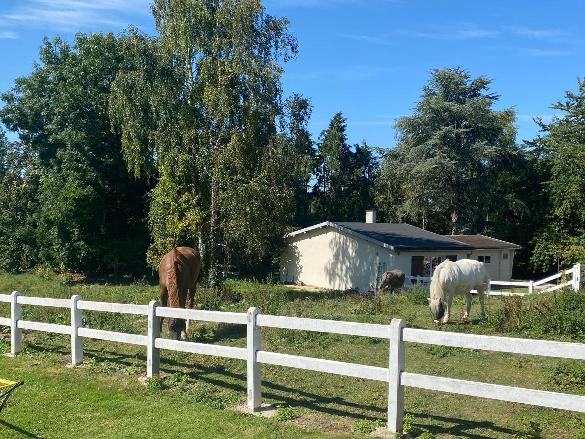 Vila Au Cedre Bleu Carnoy Exteriér fotografie